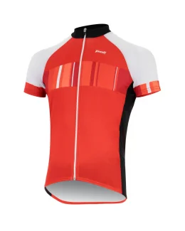 MAILLOT MANCHES COURTES ERNEST